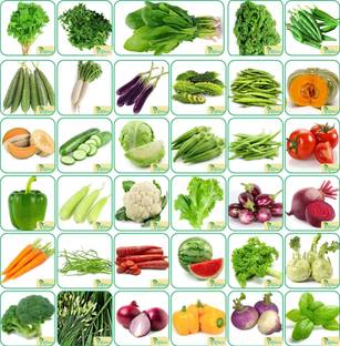 Agnico Agnico 35 Varieties of Vegetable Seeds 2100+ Germination Seeds For Your Garden With Instruction Manual Seed