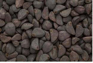 Nutrixia food Kala Dana ,Kala Dana Chota,Black Seeds,Kala Beej Seed