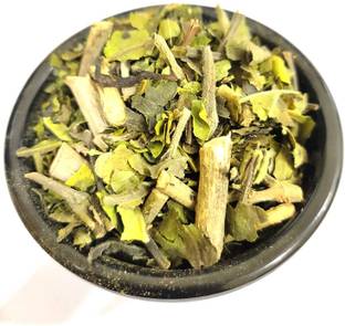 Nutrixia Adulsa -Bansa Green - Malabar Nut- Vasa - Adusha - Adhatoda Vasaka