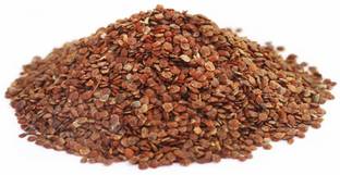 Nutrixia food Talmakhana , Taal Makhana , Kokilaksha Beej , Asteracantha Longifolia Seed