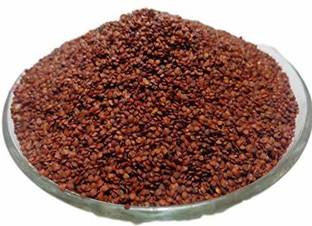 Nutrixia food Lajwanti, Sensitive Plant,Mimosa pudica Seed
