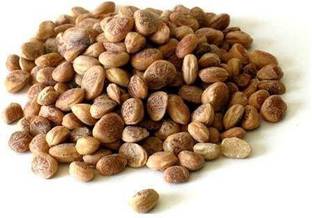 Nutrixia food Charoli, Chironji,Buchanania Lanzan Seed
