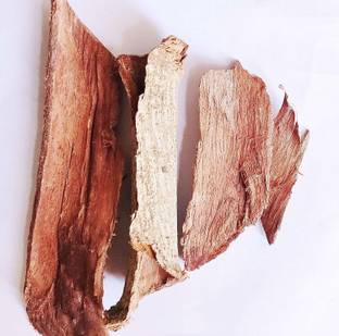 Nutrixia food Rakt Rohida , Rohida , Rohira , Tecomella Undulata Seed