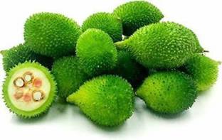sivam Kantola Seed Seed