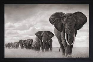 Darsh Craft Elephant Photo Frame Digital Reprint 8 inch x 10 inch Painting