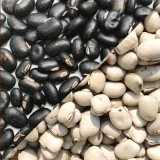 TAMRANSH Kaunch Beej Black kaunch Beej 50 gm White Kaunch Beej 50 gm combo pack 100 gram.. Seed