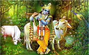 Lord Shri Krishna Poster for Room Paper Print
