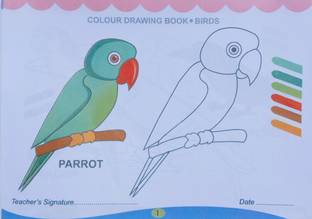 Colour Drawing Book Of Bird's For The Beginners Kid's Guide