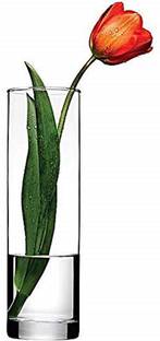 Decorzone Decorative Cylinderical Shape Pot Vase for flowers and plants Plant Container Set