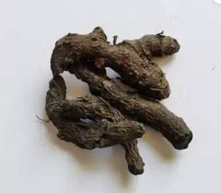 TAMRANSH Kali Haldi/Black Turmeric Seed