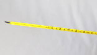 THE LABWORLD Mercury thermometer -10 to 110 degrees celsius 300mm for laboratory industrial and household temperature measurement of liquids and chemicals with plastic case Thermometer with Fork Kitchen Thermometer