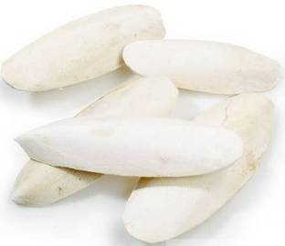 Petzlifeworld Cuttle Bone For All Bird 100g Fish Bird Chew