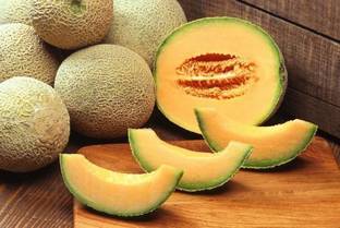 clause muskmelon plant seeds Seed