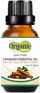 OrganicIndore Cinnamon oil |Pure and Natural