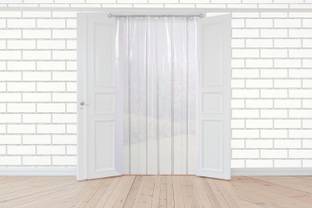 Chhapri 213 cm (7 ft) PVC Transparent Long Door Curtain Single Curtain