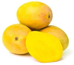 Ratnagiri Alphonso Mango