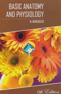 Basic Anatomy And Physiology