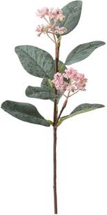 IKEA Green Wild Flower Artificial Flower