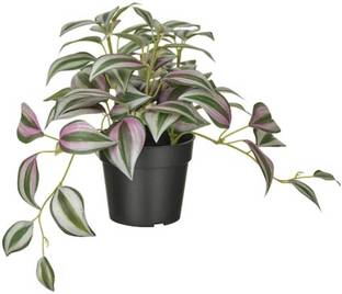 IKEA Wild Artificial Plant  with Pot