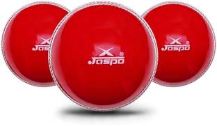 Jaspo T-20 Cricket Ball Soft Cricket Training Ball