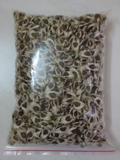 VibeX Moringa Seed