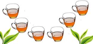 Coozico Pack of 6 Glass Crystal Clear Toughened Glass Tea Cup with Convenient Solid Handle Cups, Glass Set for Tea, Coffee, Beer, Hot/Cold Drinks