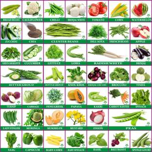 Greenery Hub 45 Varieties Vegetables Seeds Combo Seed