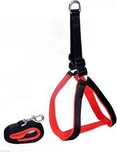 Golden Dog Harness & Leash