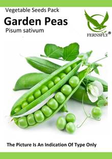 FERNSFLY Peas/Matar/Vegetable Seed Seed