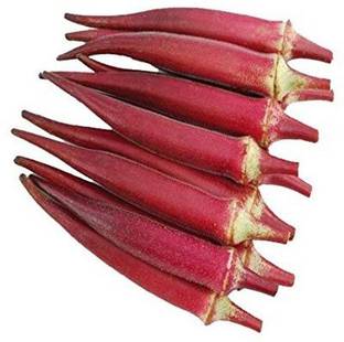 VibeX Okra Seed