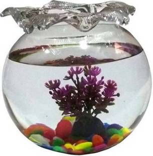 SAVORADE Glass Fish Tank for Small Betta Fish & Plants jhallar_10 (10 INCH) Round Ends Aquarium Tank