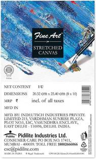 Fine Art 8 X 10 Inch Back Fold Cotton Fine Grain Stretched Canvas Board (Set of 1)