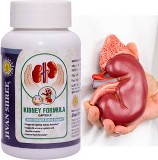 JIVAN SHREE Kidney Detox Supplement (All Problems) & Creatnine Kidney Bladder Cleanse