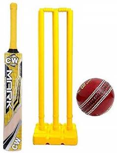 CW Ruler Net Training Cricket Set F/S Kashmir Willow Bat Plastic Stumps Set with ball Cricket Kit