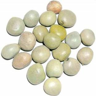 Epoojacart Gacha Kayalu (100 gms) Seed