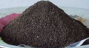 Blessy Vermicompost for plants Fertilizer