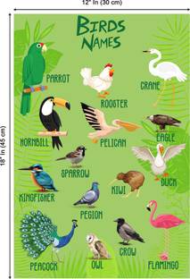 Famous Bird Names With Pictures | Suitable For Home And School Decor Paper Print