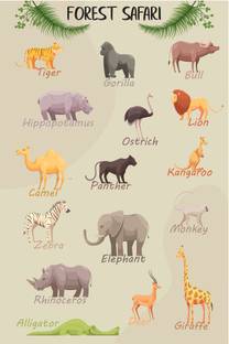 Name Of The Forest Animal With Pictures | Suitable For Home And School Decor Paper Print