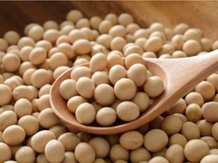 PRODUCER Soya Bean (Whole) (Soya bean Whole, Sabut SoyaBean, Soy Bean)