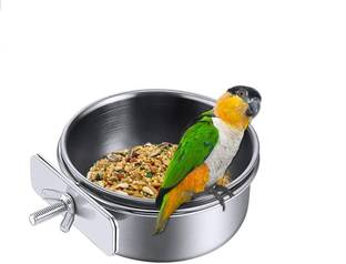 THE DDS STORE Window Bird Feeder Bird Feeder