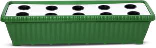 GREENLIVE Hydroponic 10 Planter System Kit ( Green ) Plant Container Set