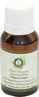 R V Essential Oregano Essential Oil 15ml- Origanum Vulgare (100% Pure and Natural Steam Distilled)
