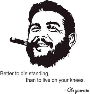 fuzzy 70 cm Che guevara quotes Self Adhesive Sticker