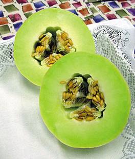 VibeX Melon, Honeydew Green Flesh Organic Seed