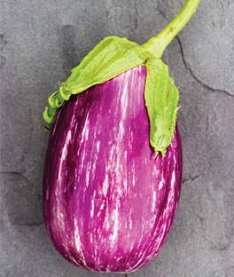VibeX Organic Eggplant, Shooting Stars Seed