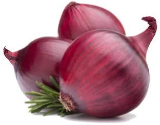 VibeX Onion Seed