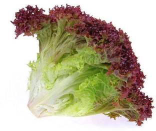 VibeX Lettuce Seed