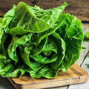 VibeX Lettuce Seed