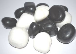 ERCOLE Decorative Smooth Polished Shiny Stone Pebble For Aquarium Fish Tank Plant Pots Garden Home Table & Outdoor Decoration (Black & White, 500 grams) Regular, Polished Angular, Asymmetrical, Oval Marble Pebbles