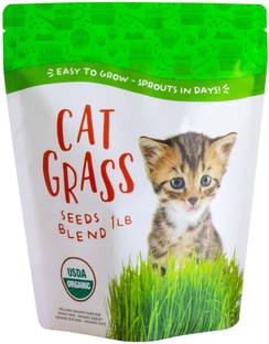 VibeX Wheatgrass Seed